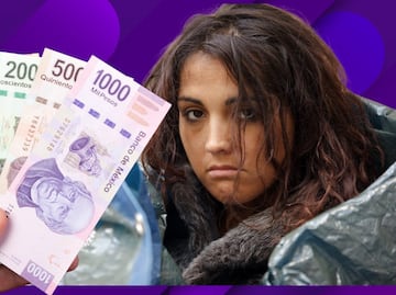 Tarjeta Violeta 2025. Apoyo económico para mujeres con necesidades urgentes, página de registro