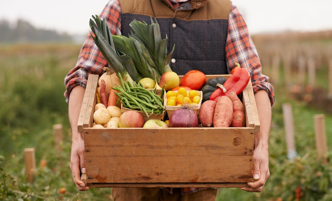 Trabaja en el campo de Estados Unidos en Presque Isle Maine (Foto: Canva)