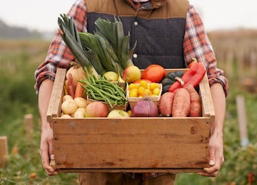 Estados Unidos busca 155 trabajadores, paga más de $350 por hora