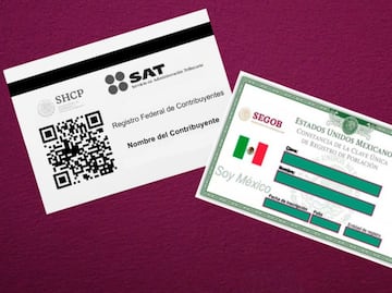 RFC y CURP en México ¿Qué son y cómo conseguirlos rápidamente sin gastar un peso?