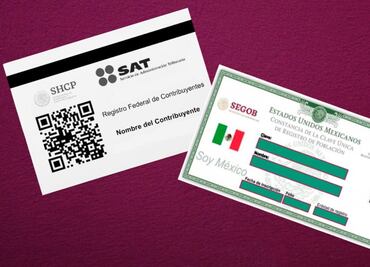 RFC y CURP en México ¿Qué son y cómo conseguirlos rápidamente sin gastar un peso?