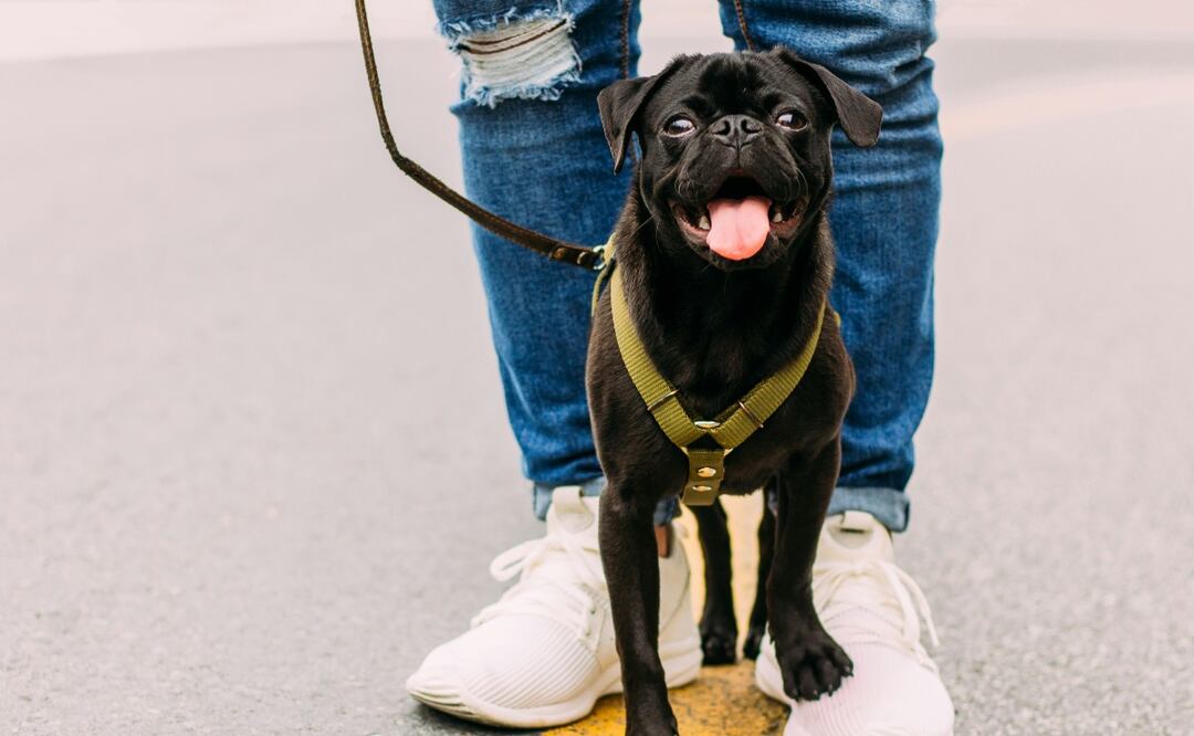 Conoce la forma de convertir tus pasatiempos en ingresos. (Foto: Unsplash)