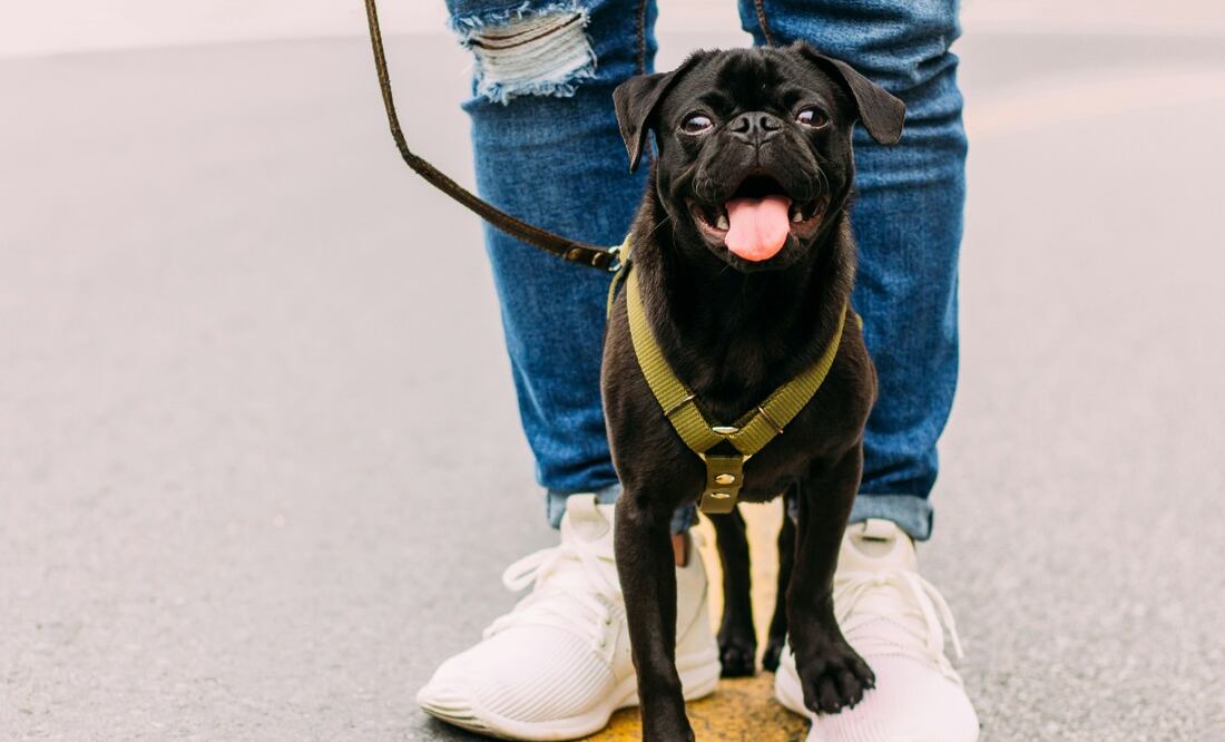Conoce la forma de convertir tus pasatiempos en ingresos. (Foto: Unsplash)