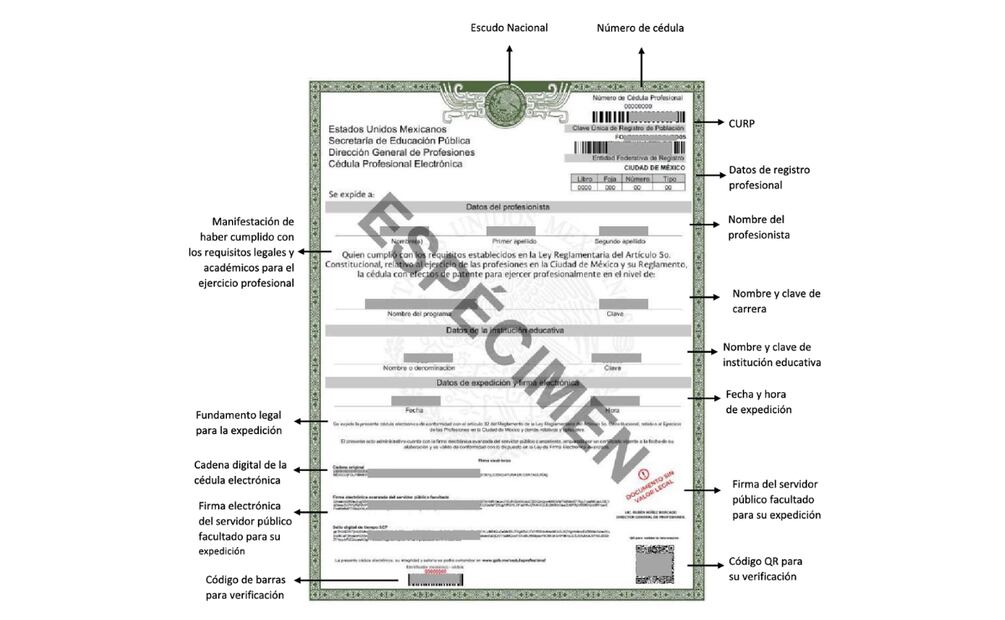 Estructura de Cédula Profesional emitida por la Dirección General de Profesiones. (Foto: Captura de pantalla)