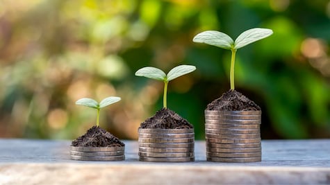 Cómo empezar a ahorrar según Sofía Macías, autora de Pequeño Cerdo Capitalista