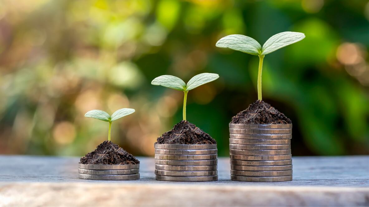 Sofía Macías comparte como empezar a ahorrar (Foto: Canva)