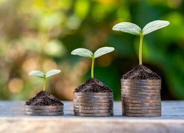 Cómo empezar a ahorrar según Sofía Macías, autora de Pequeño Cerdo Capitalista