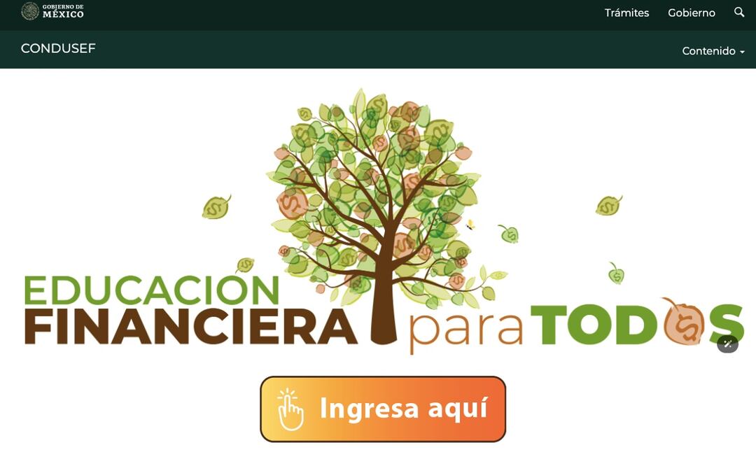 Educación Financiera para Todos, curso sin costo de la Condusef. (Foto: Página web de la Comisión)