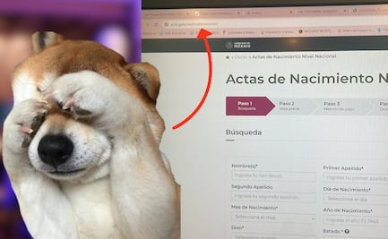 Alerta acta de nacimiento: La página falsa que te engaña en línea y cobra 200 pesos