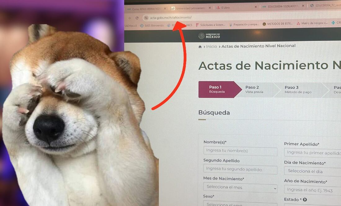 ¿Cómo comprobar si un sitio web es gubernamental? (Foto: DeDinero)