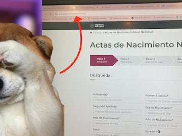 Alerta acta de nacimiento: La página falsa que te engaña en línea y cobra 200 pesos