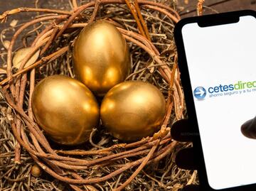 Descubre en cuánto tiempo DUPLICAS tu dinero con inversiones en CETES