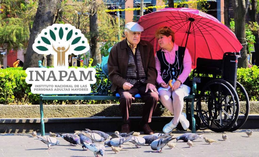 ¿Qué beneficios tiene la tarjeta de INAPAM? (Foto: Cuartoscuro)