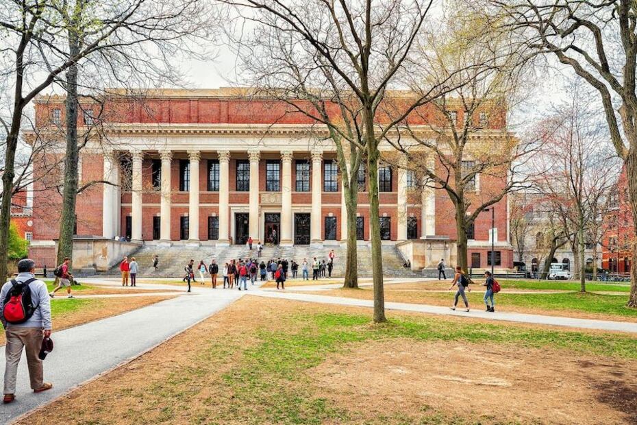 Cursos que ofrece la Universidad de Harvard de manera online. (Foto: Freepik)