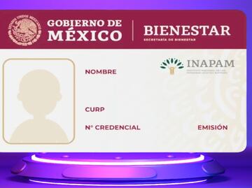 Tarjeta del INAPAM 2024: Ofrece descuento del 80 por ciento en el pago de este importante servicio