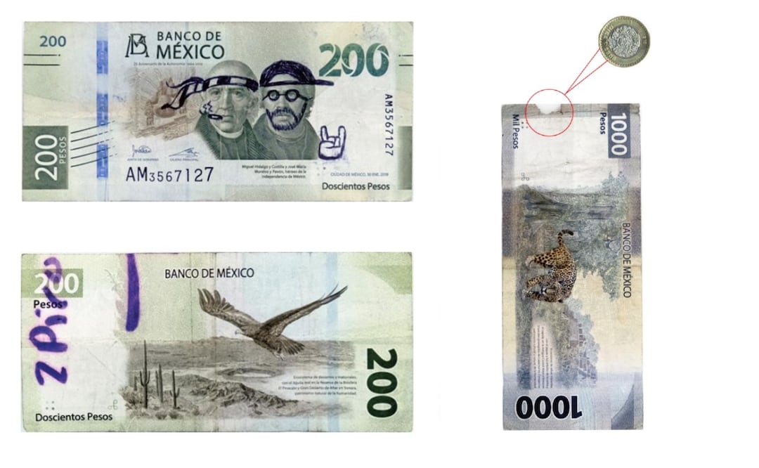 ¿Te rechazan billetes maltratados? Banco de México explica cuáles siguen valiendo. (Foto: Captura de pantalla)