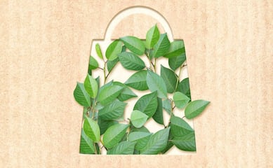 Cómo hacer un consumo responsable con el medio ambiente, según la ONU, la SEMARNAT y la PROFECO