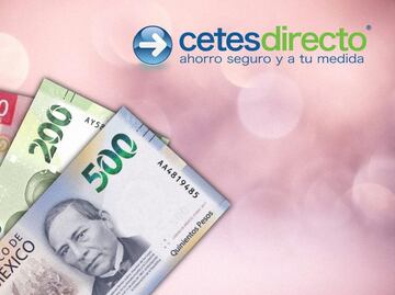 ¿Qué es Bonddia y cómo puedes aprovecharlo para tener rendimientos diarios?