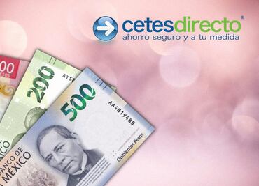 ¿Qué es Bonddia y cómo puedes aprovecharlo para tener rendimientos diarios?