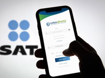Si invierto en Cetes... ¿Tengo que avisar al SAT?