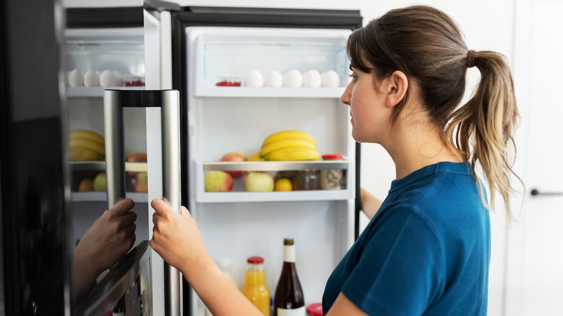 La CFE impulsa el ahorro de energía ofreciendo créditos para electrodomésticos más eficientes (Foto: Canva)