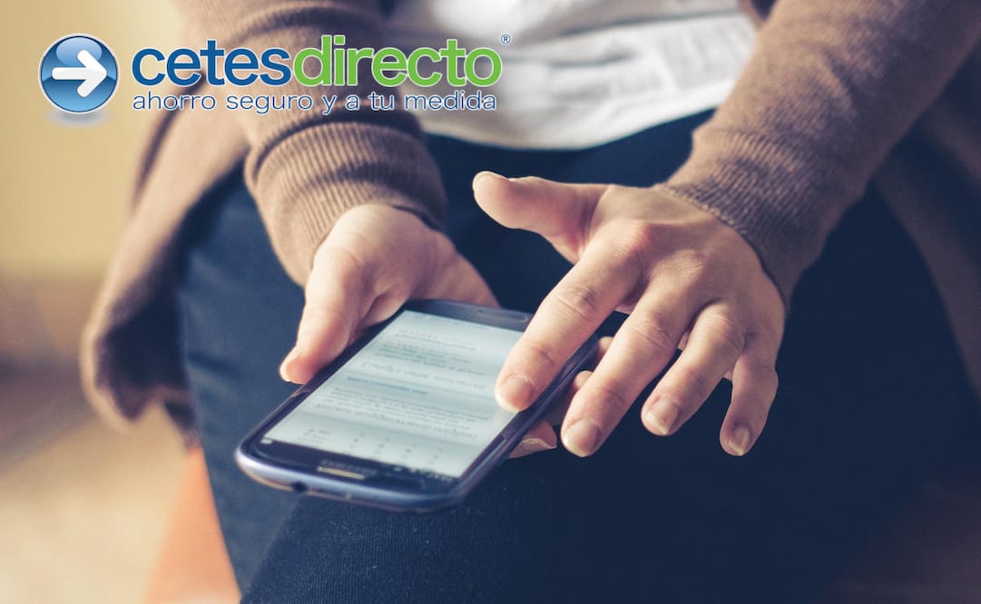 Puedes realizar transferencias a Cetes desde tu computadora o dispositivo móvil. (Foto: Pixabay)