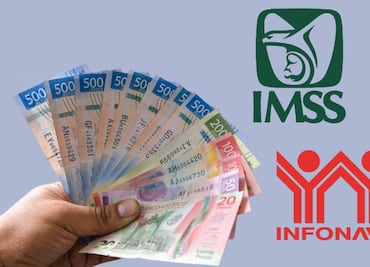 Cuotas obrero patronales. Qué son, cómo se pagan y dónde verificarlas