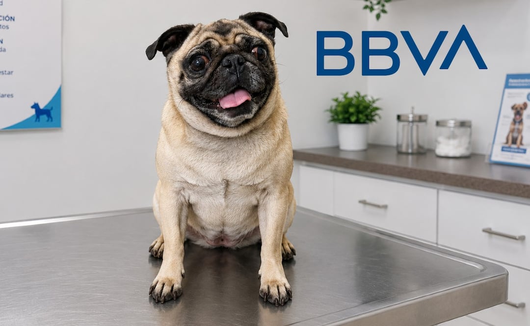 BBVA protege a tu perro o gato con este seguro que incluye vacunas, estética y asistencia veterinaria. (Foto: Crea con IA)