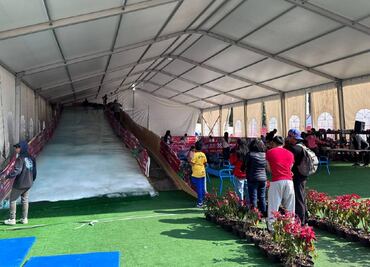 Pistas de hielo gratuitas en CDMX: ¿Dónde disfrutarlas en Tlalpan, Xochimilco y Venustiano Carranza?