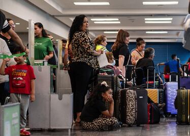 ¿Vas a volar con tu mascota? Esto es lo que debes saber para viajar con tu mejor amigo