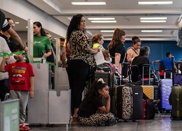 ¿Vas a volar con tu mascota? Esto es lo que debes saber para viajar con tu mejor amigo