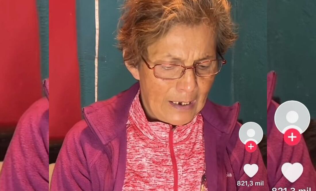 Sofía Flores Juárez contra el fraude inmobiliario (Foto: Captura de pantalla-Tiktok)