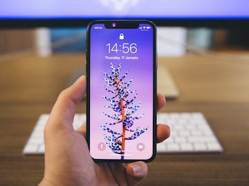 Apple advierte de truco que arruina el iPhone, no pierdas dinero y descubre el error de varios