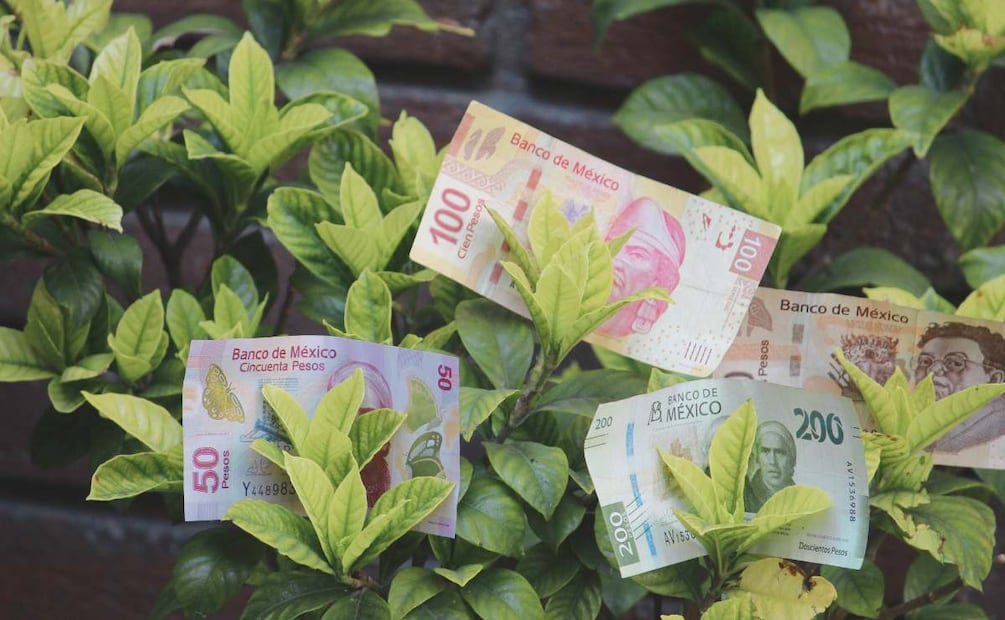 ¿Cuánto gano si invierto 500 mil pesos en CETES? (Foto: DeDinero)