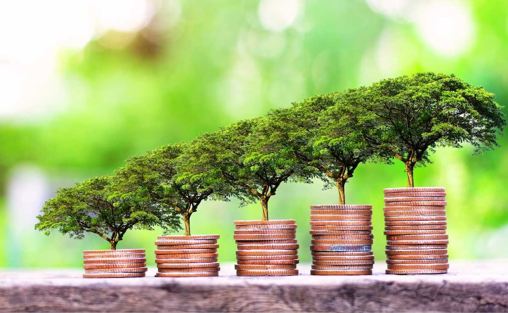 ¿Dónde puedo invertir 20 mil pesos en México? (Foto: DeDinero)