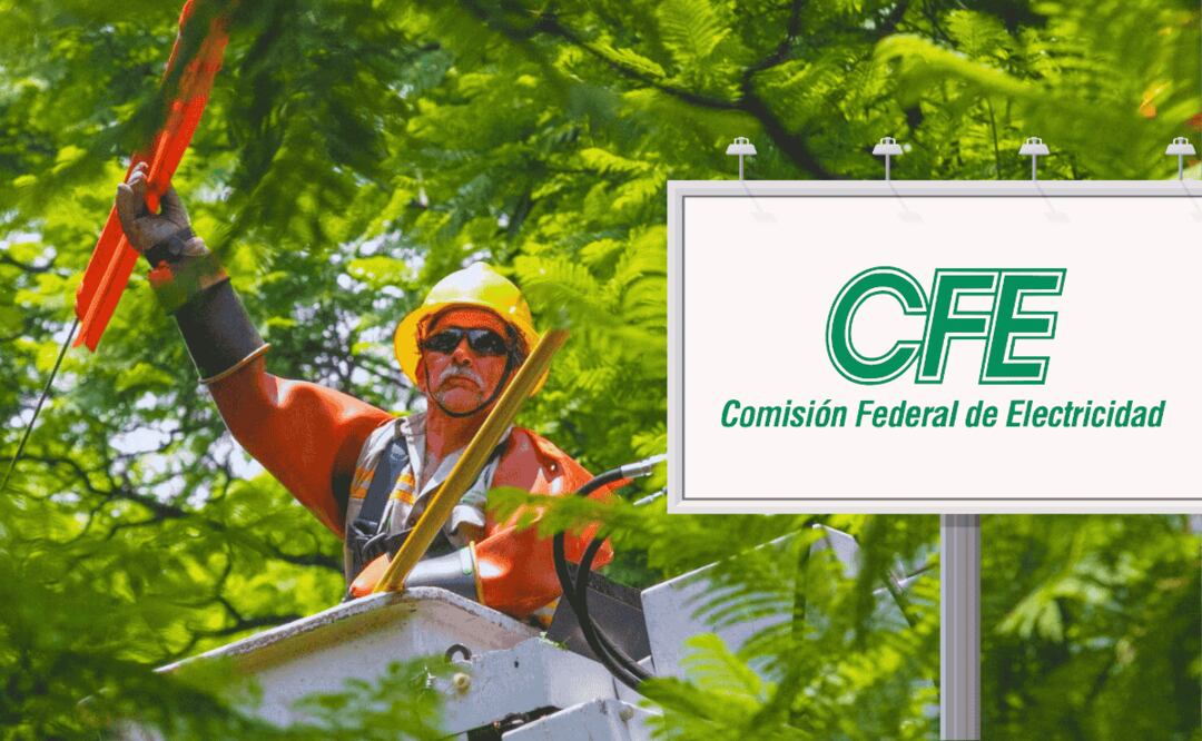 CFE 2025: Esto debes saber si recibes visita de sus trabajadores. (Foto: Cuartoscuro y DeDinero)