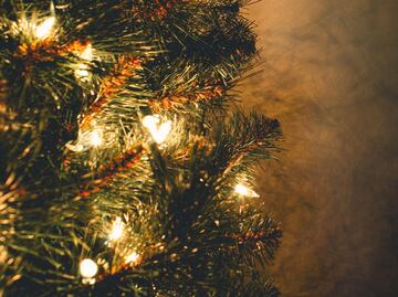 Advertencia CFE: este adorno navideño puede vaciar tu bolsillo y causar desastres