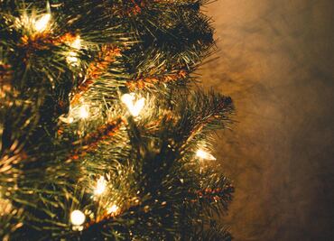 Advertencia CFE: este adorno navideño puede vaciar tu bolsillo y causar desastres