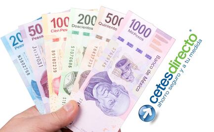 Fondos de Inversión vs Cetes: Diferencias y cuánto ganas si inviertes mil pesos en 2024