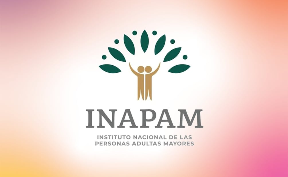 Beneficios Exclusivos de la Tarjeta INAPAM en agosto. (Foto: INAPAM)