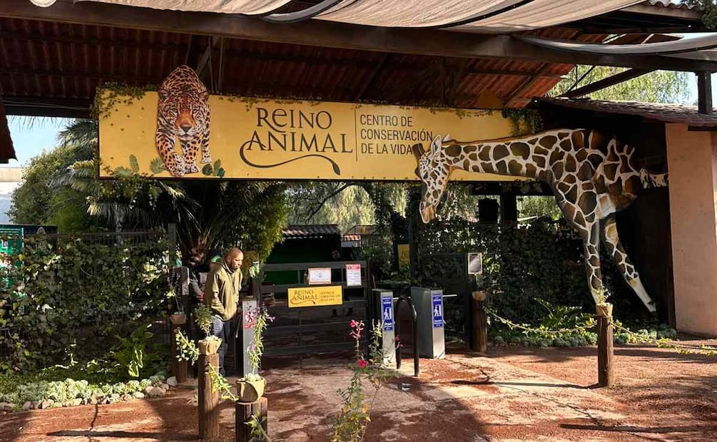 Reino Animal, ubicación y precios. (Foto: Javier Ramírez)