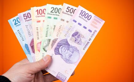 Pensión del Bienestar 2024: A qué personas les dan 3 mil 100 pesos, desde los 0 hasta los 65 años