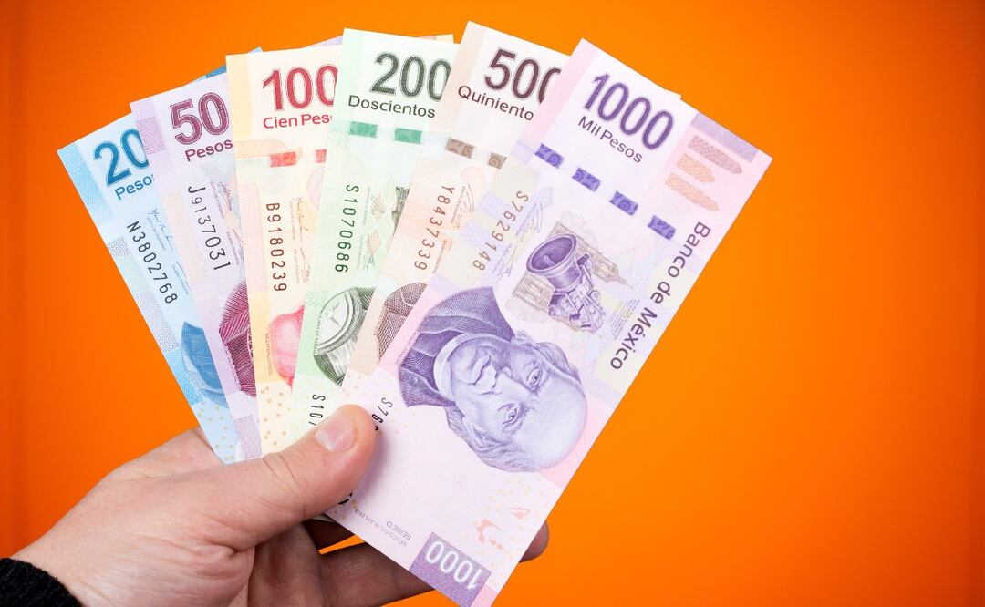 Programas de Bienestar para la población joven en 2024. (Foto: DeDinero)