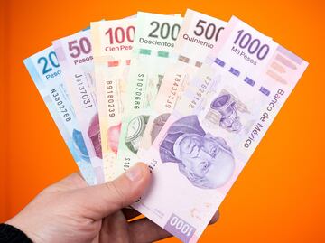 Pensión del Bienestar 2024: A qué personas les dan 3 mil 100 pesos, desde los 0 hasta los 65 años