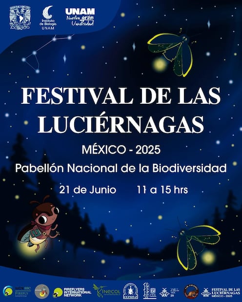 Festival de las luciérnagas. (Foto: Facebook del PaBio)