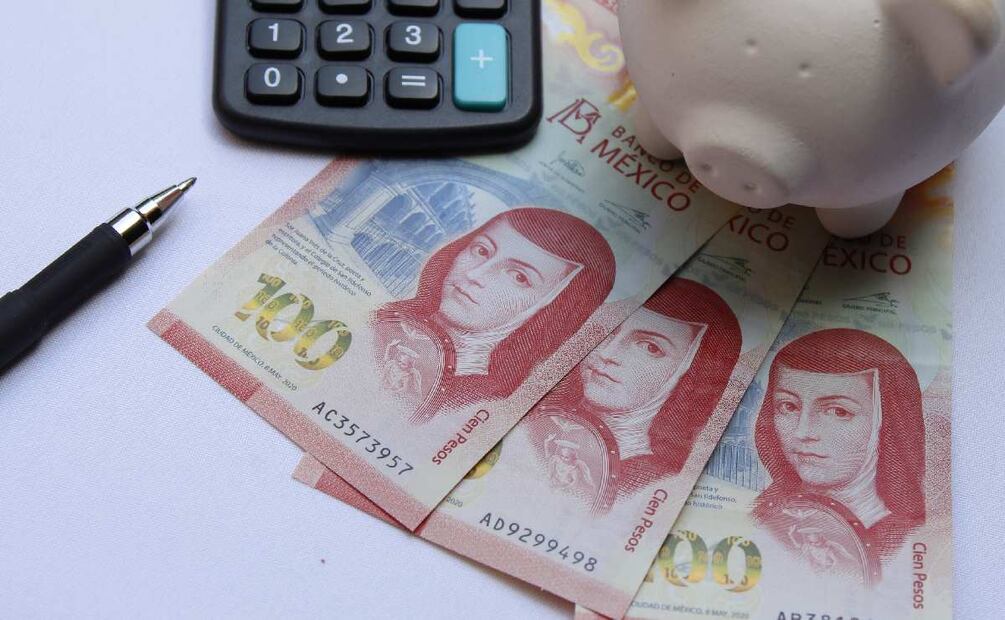 ¿Cómo le puedo hacer para recibir un apoyo económico del gobierno? (Foto: DeDinero)