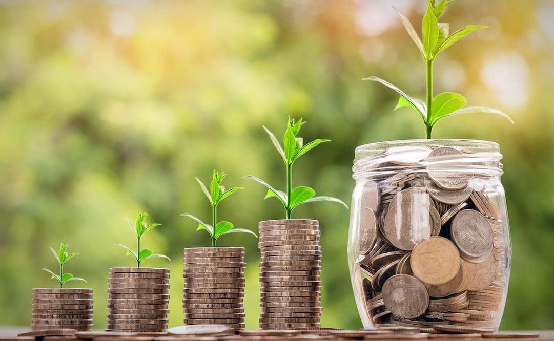 Aprende a elegir los mejores servicios para hacer crecer tu dinero. (Foto: Pixabay)