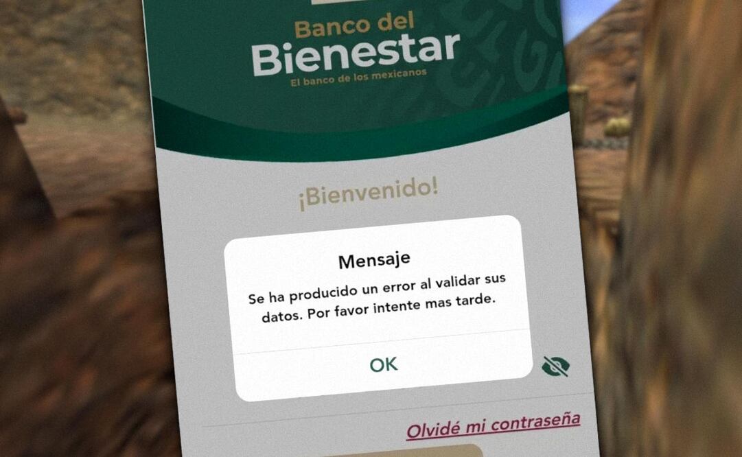 Esta herramienta digital sirve para consultar movimientos de programas del Bienestar. (Foto: DeDinero)