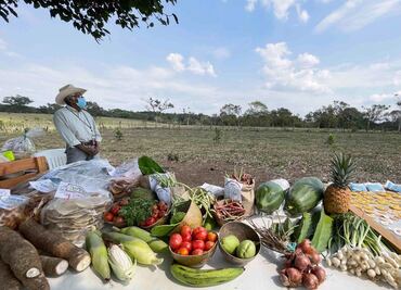 Sembrando Vida: El programa que apoya el sector rural en México
