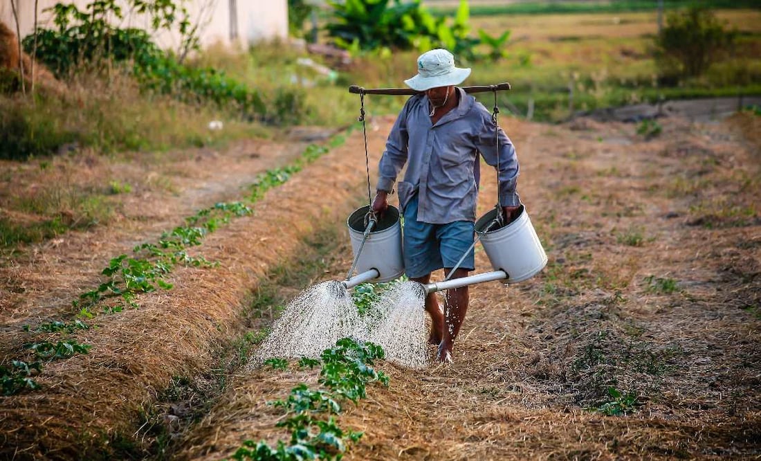 ¿Cómo obtener el apoyo de los 25 mil pesos 2024? (Foto: DeDinero)